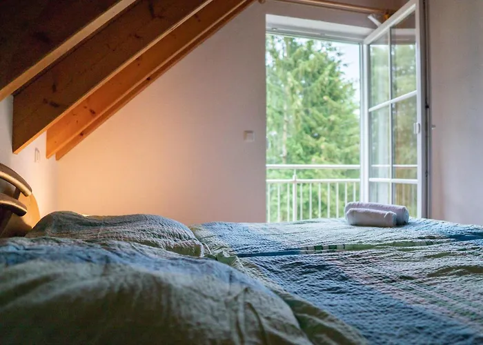 Villa Schwedenhaus Rhoen Mit Sauna Und Schwimmteich